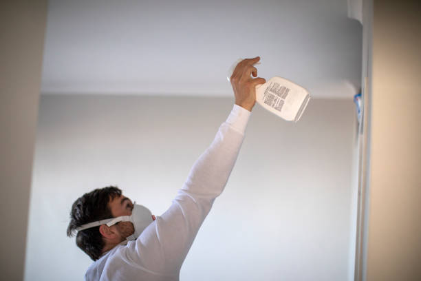 Best Certified Mold Removal  in Tyro, NC