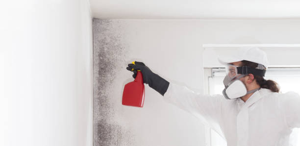 Best Mold Cleaning Services  in Tyro, NC