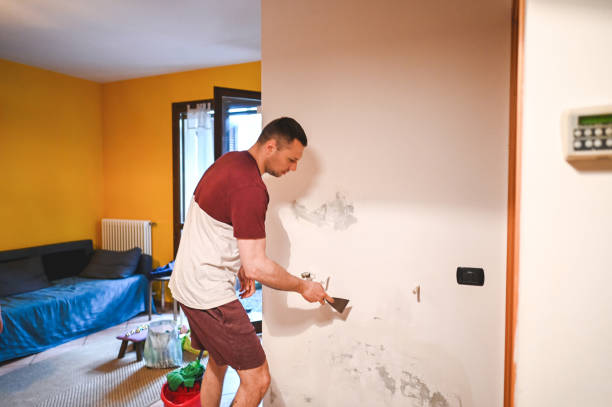 Best Local Mold Removal Service  in Tyro, NC